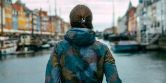 Danish labour market